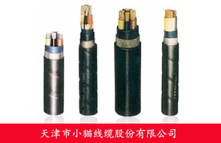 天津小猫电缆生产厂家 以优质产品满足电线电缆行业需求
